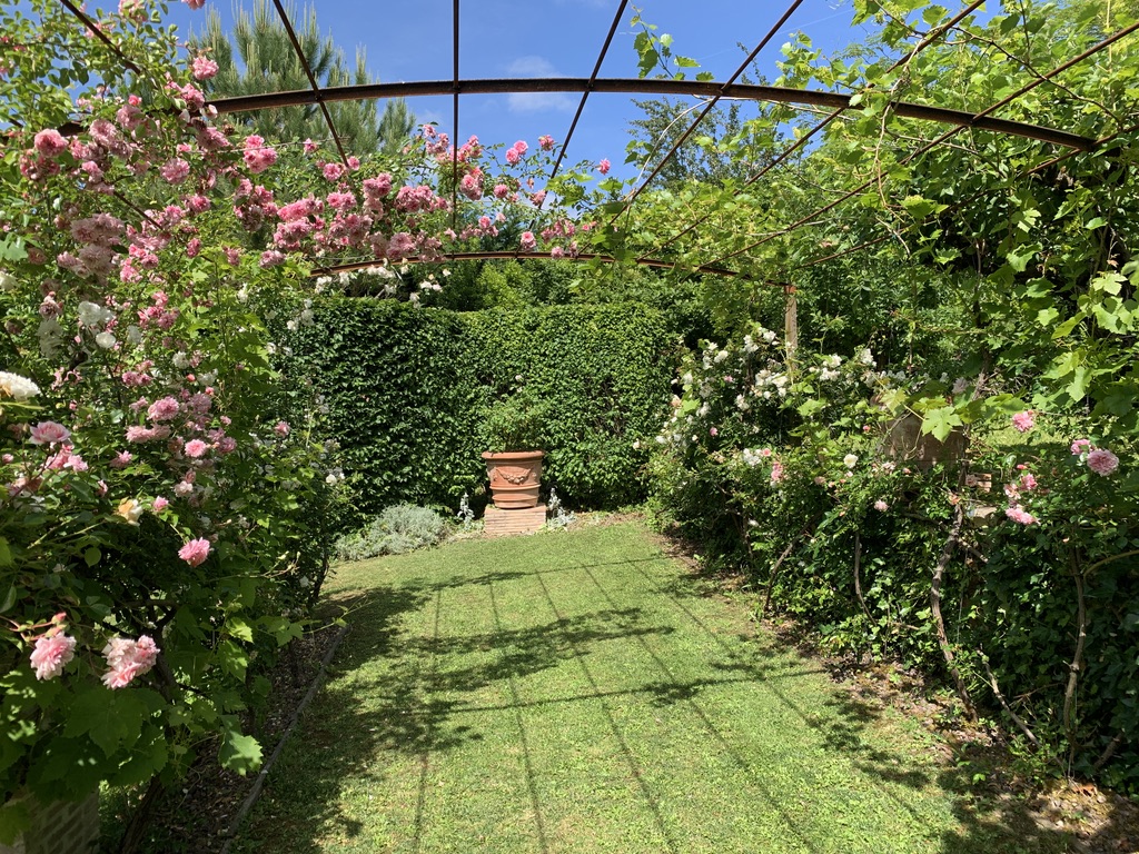 Pergola romantique couverte de roses dans une allée fleurie